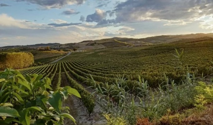 Regione Piemonte riconosce ufficialmente la Strada dei Vini e dei Sapori del Gran Monferrato