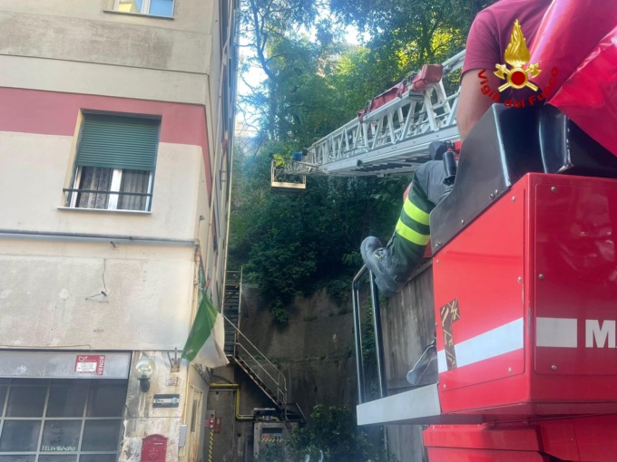 Genova: intervento dei Vigili del Fuoco in via Bartolomeo del Fossato per albero pericolante