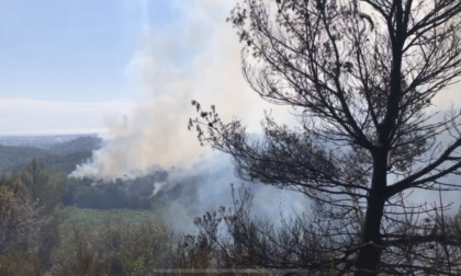 "Sotto controllo" il vasto incendio che ha colpito il Savonese