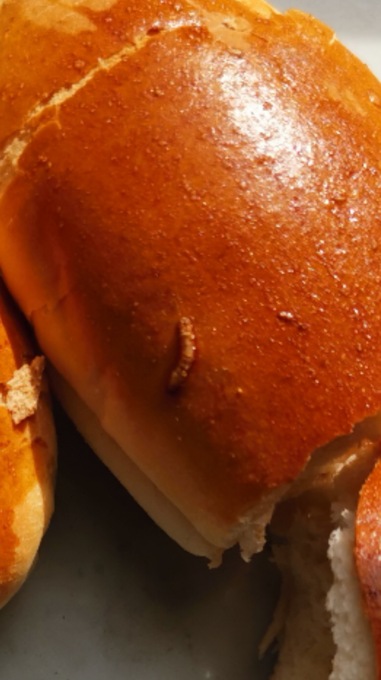 Torino, addenta un panino e si ritrova un verme cotto. Denunciato il titolare