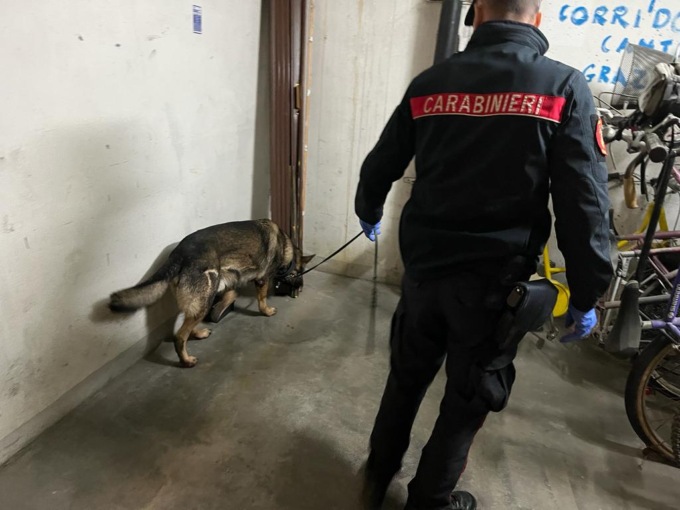 Torino: 3 arresti per spaccio ed estorsione