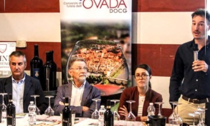 Agrion al lavoro per migliorare la qualità e l’omogeneità del vino Ovada DOCG