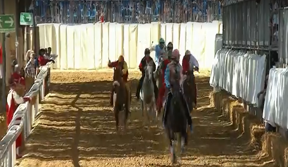 Palio