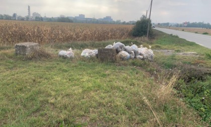 Rifiuti abbandonati a bordo strada a Novi Ligure, l'intervento di Gestione Ambiente