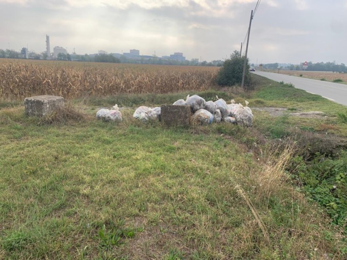 Rifiuti abbandonati a bordo strada a Novi Ligure, l’intervento di Gestione Ambiente