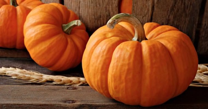 Coldiretti Piemonte, Halloween: è zucca day dalla tavola all’intaglio