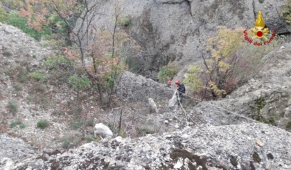 Tre capre rimangono bloccate in zona impervia, diverse ore per portarle in salvo