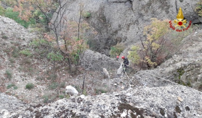 Tre capre rimangono bloccate in zona impervia, diverse ore per portarle in salvo