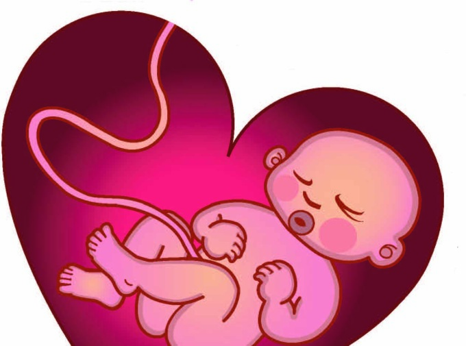 Sangue cordone ombelicale: 133 donazioni da luglio e 12 sacche raccolte