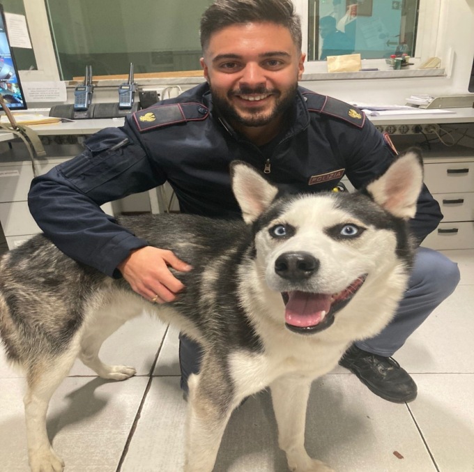 Sanremo: Polizia trova un Husky Siberiano in corso Cavallotti, si cerca il proprietario