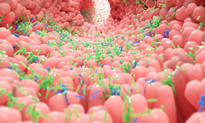 Trapianto di microbiota intestinale, all'Azienda Ospedaliera di Alessandria effettuati 5 interventi perfettamente riusciti