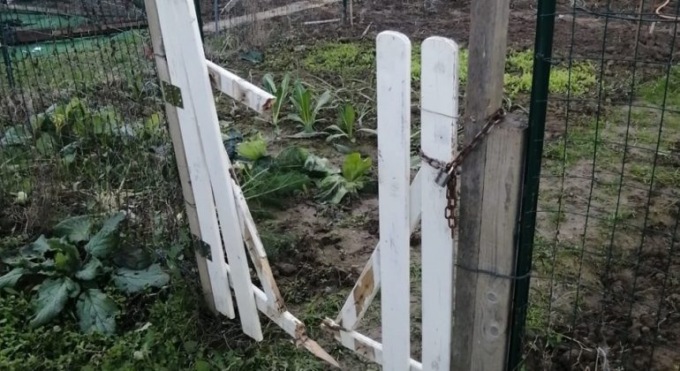 Alessandria, atti vandalici agli orti solidali di Forte Acqui: sporta denuncia dalla Caritas
