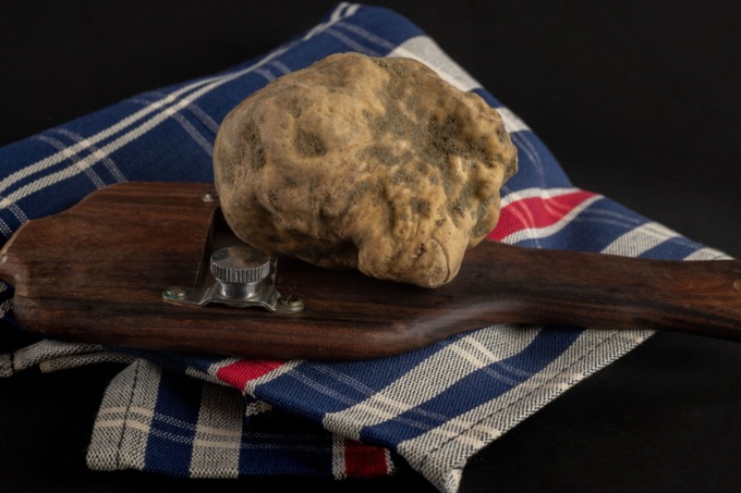 Il tartufo bianco del Gran Monferrato alla scuola internazionale di cucina Paul Bocuse a Lione