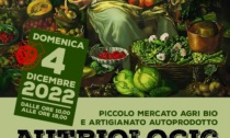 Alessandria, oggi al PerlaNera ”Autbiologic”, piccolo mercato dell’agro-bio