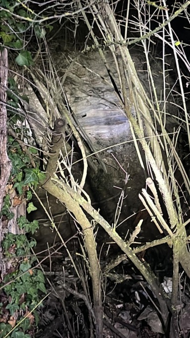 <strong>Albero frena un masso che si è distaccato da una scarpata ad Acqui Terme</strong>