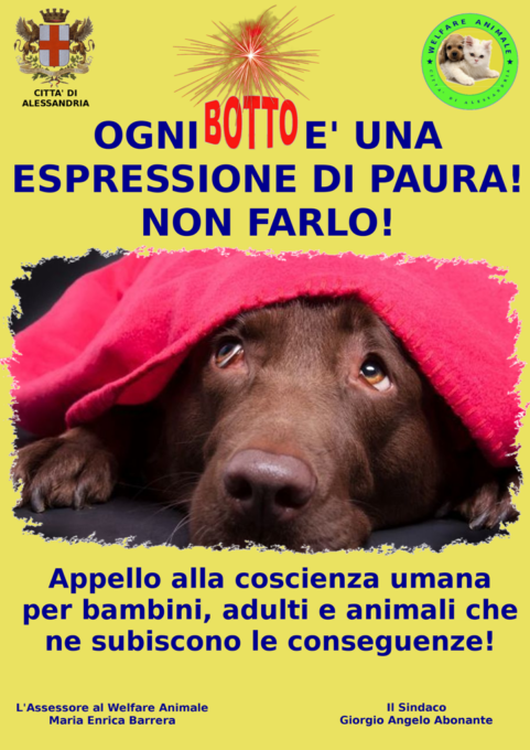 Alessandria, “No” allo spettacolo pirotecnico per tutelare gli animali durante le festività