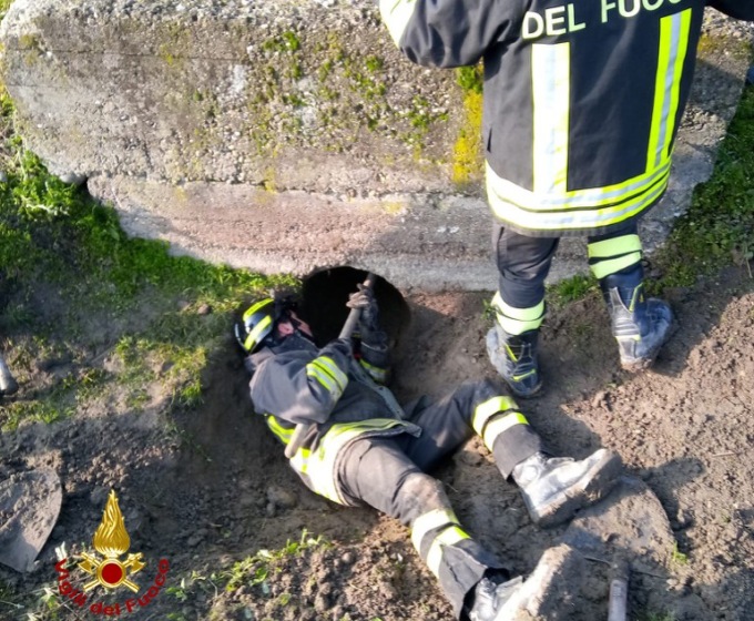 Villanova Monferrato: Vigili del Fuoco salvano cane incastrato in un canale di scolo