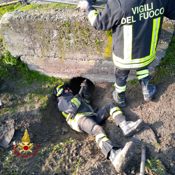 Cane incastrato in un tubo: salvato dai pompieri a Villanova Monferrato