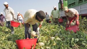 Regione Piemonte capofila del nuovo progetto interregionale contro il caporalato