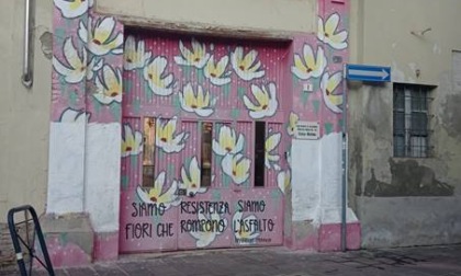<strong>La casa delle donne di Alessandria in attesa di uno spazio</strong>
