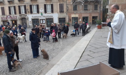 220 interventi nel 2022 per le Guardie Zoofile Provinciali