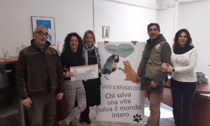 <strong>L'impegno dell'Associazione Liberi Tartufai a favore degli animali</strong>