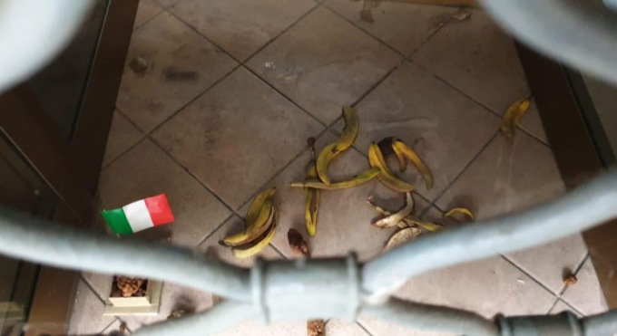 Acqui Terme, imbrattata la sede della Lega con delle bucce di banana