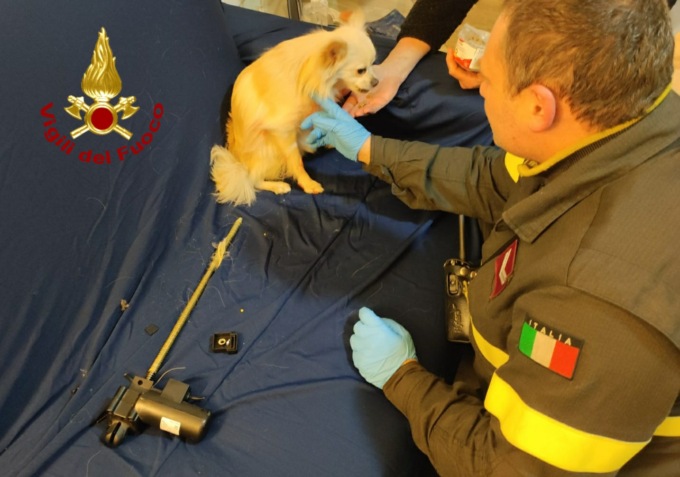Genova, i Vigili del fuoco soccorrono un cane rimasto incastrato in una poltrona reclinabile