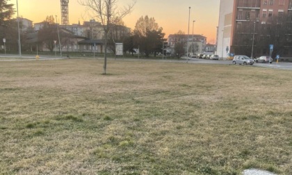 Ripulito giardino di via della Moisa ad Alessandria, il sindaco: "Aiutiamoci a tenerlo in ordine"