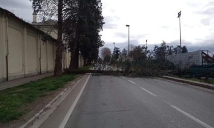 Maltempo, disagi in provincia di Alessandria a causa del forte vento