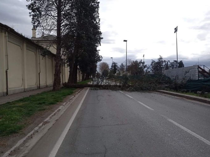 Maltempo, disagi in provincia di Alessandria a causa del forte vento