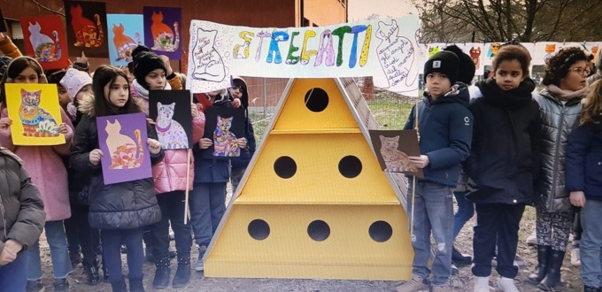 <strong>Una casa per i gatti grazie agli alunni e ai detenuti di Alessandria</strong>