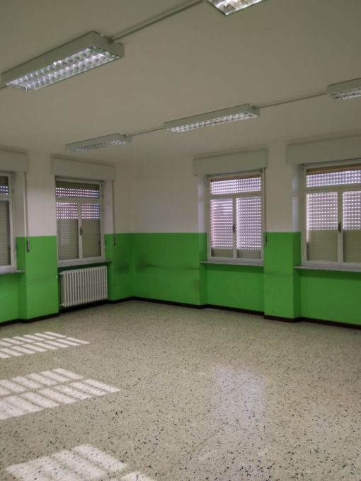 Topi nella scuola Ferrero di Alessandria, chiuso il primo piano