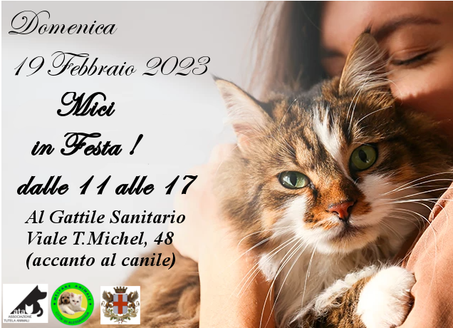 Festa del gatto: domenica 19 al gattile sanitario di Alessandria “Mici in Festa”
