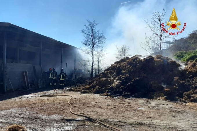 Incendio azienda agricola di Carpeneto: morti oltre cinquanta bovini