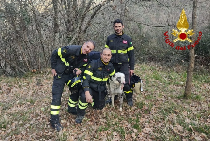 Genova: vigili del fuoco salvano un cane rimasto bloccato in fondo ad una scarpata