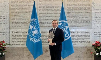 "Tree Cities of the world" 2023: Torino riceve il premio Fao per le Città degli alberi
