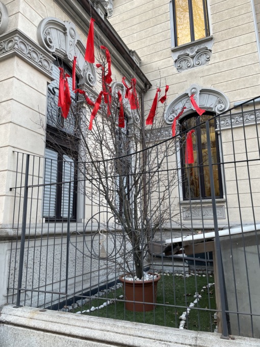 Torino, l’Ordine dei Medici di Torino espone un albero senza vita con i nomi delle vittime