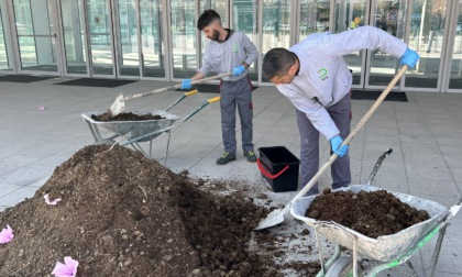 Torino, letame davanti al Grattacielo, il Presidente Cirio: "Grazie per il terriccio, sarà destinato al nostro giardino interno"