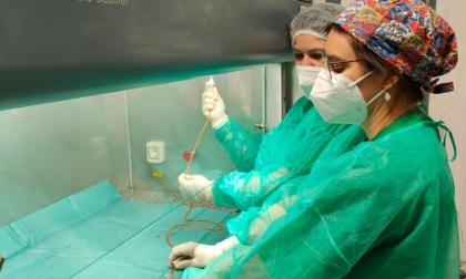 Malattie onco-ematologiche: uno studio osservazionale da parte del personale infermieristico