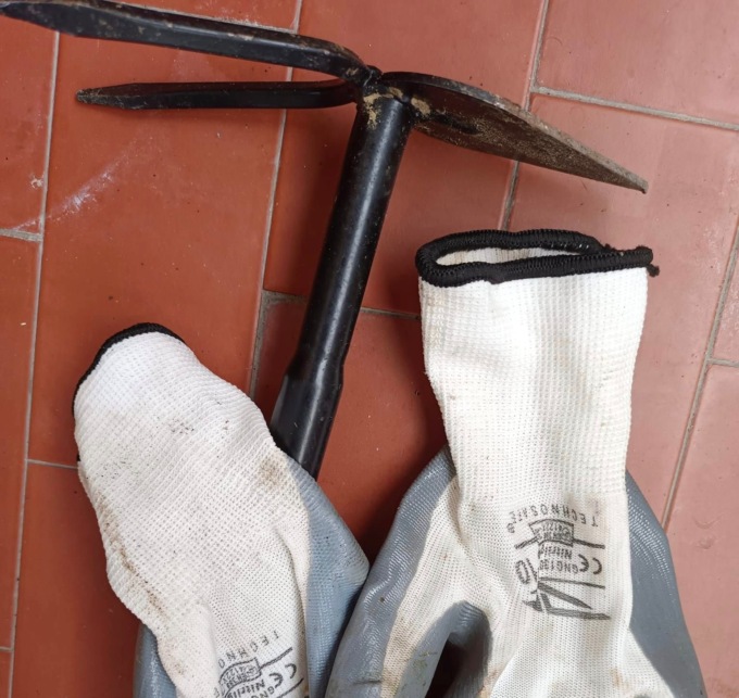 Erbacce su strade e marciapiedi, Abonante: “Guanti, tre minuti di fatica e l’erbaccia non c’è più”