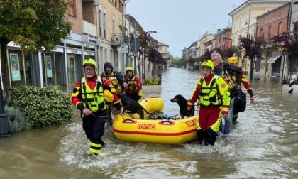 Partirà da Tortona il convoglio che porterà in Emilia aiuti concreti per gli animali colpiti dall'alluvione
