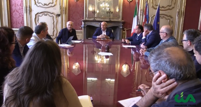 Peste suina, il commissario Caputo: “Entro tre anni tutti gli abbattimenti necessari”
