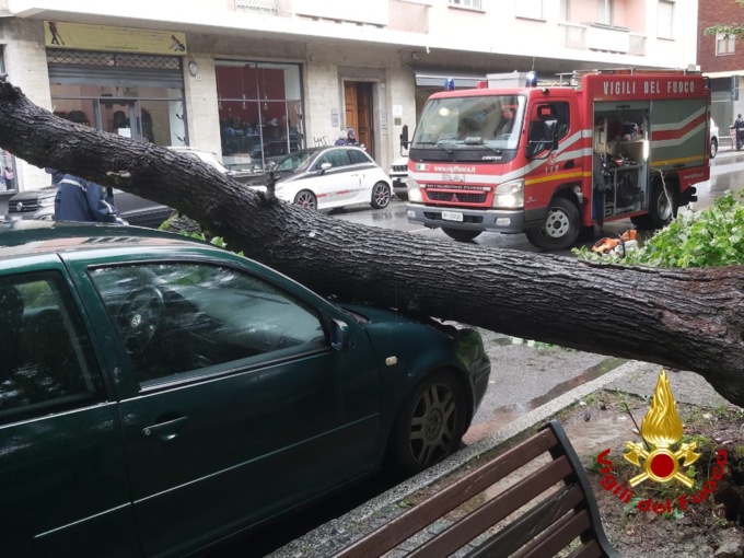 Cade albero in centro ad Alessandria: un’auto danneggiata