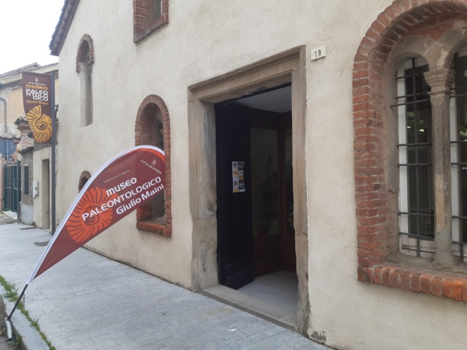 Museo paleontologico “Maini” di Ovada, una storia lunga 20 anni