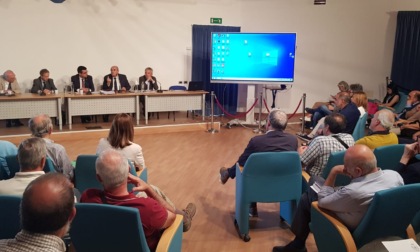 Peste suina, Caputo: "Ancora tre anni per la fine del virus"