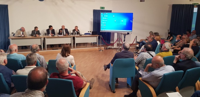 Peste suina, Caputo: “Ancora tre anni per la fine del virus”