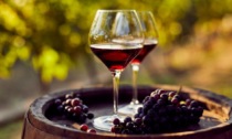 Una particolare denominazione per rilanciare i vini acquesi