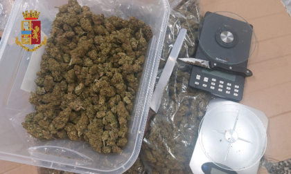 Perquisiti due alloggi dalla polizia di Torino: trovati 136 kg di droga totali
