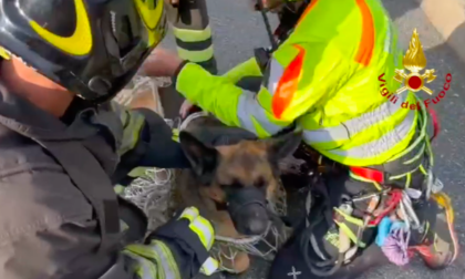 Si perde sulla via del Sale con il suo pastore tedesco, salvata insieme al cane grazie ad altri due escursionisti